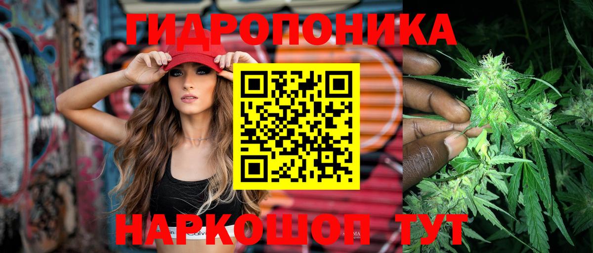 Бошки марихуана планчик  Шишки марихуана план  Чебаркуль  Вход с VPN 